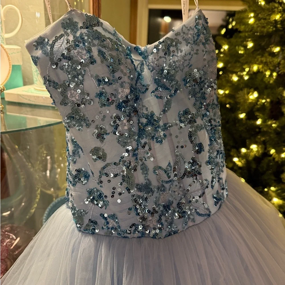 Pageant / Prom Gown by Rachel Allan size 6 - Picture 3 of 13